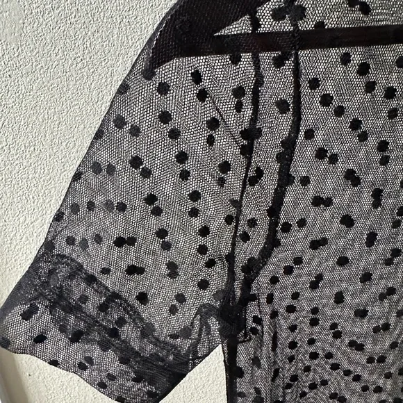 Women’s Sheer Mesh Dress with Polka Dots - Picture 9 of 9